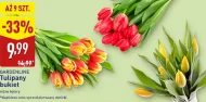 Bukiet tulipanów Gardenline
