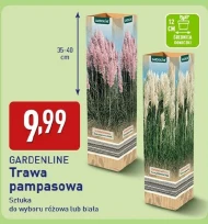 Trawa Gardenline