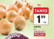 Cebula Polski