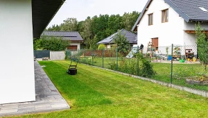 Masz żółty i rzadki trawnik? Wystarczy 30 minut, by uratować sezon