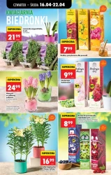 Wiosenne okazje pełne smaku – Biedronka