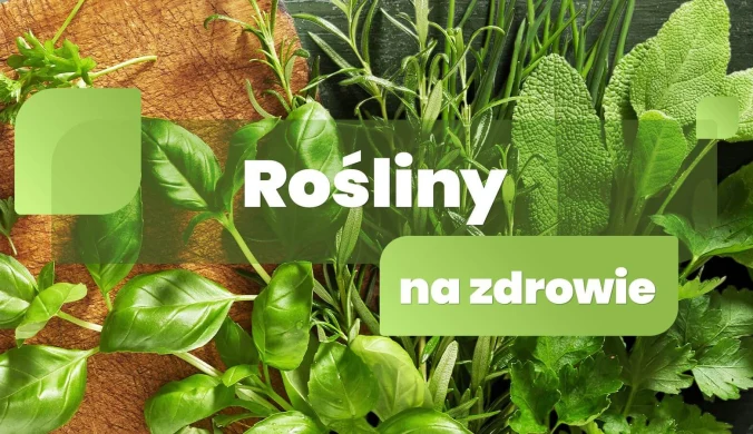 Rośliny na zdrowie