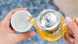 Herbata z suszonych liści popularnego drzewa przyspiesza metabolizm. 