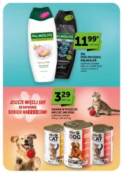 Świeże w super cenach - moje sklepy supermarket