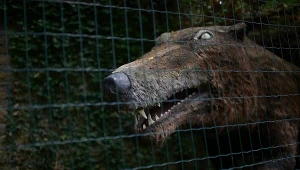 Naturalnej wielkości model andrewzarcha wystawiony w Hiszpanii. Ta bestia mierzyła może 6 metrów