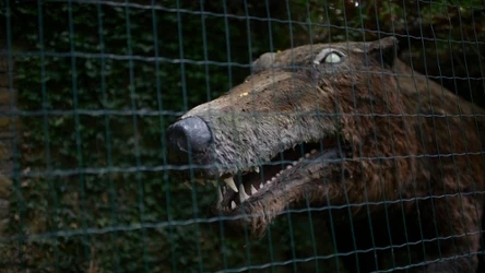 Naturalnej wielkości model andrewzarcha wystawiony w Hiszpanii. Ta bestia mierzyła może 6 metrów