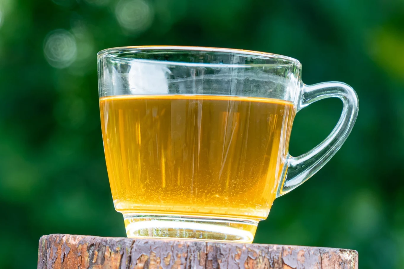 Napar z kwiatów forsycji ma dobry wpływ na organizm Napar z kwiatów forsycji w szklance, przedstawiony na tle jasnego blatu.