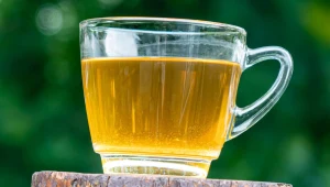 Napar z kwiatów forsycji ma dobry wpływ na organizm