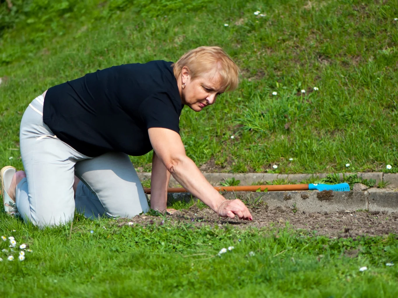 Jak rozpoznać nornice i szybko się ich pozbyć? Kobieta pracuje w ogrodzie i obserwuje ślady obecności nornic.