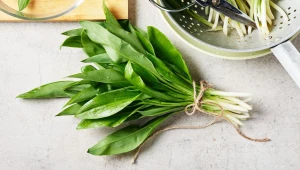 Czosnek niedźwiedzi ma dużo pozytywnych właściwości zdrowotnych