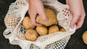 Wyjmij i dokładnie obejrzyj. Popularne warzywo wskaże ci przyszłość
