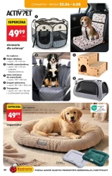 Czas na survival - Biedronka