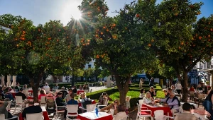 Szukają mieszkań za 5 tys. tygodniowo. Teraz przyjeżdżają do Europy