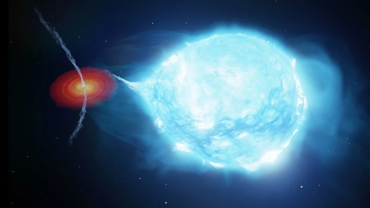 Wizualizacja Cygnus X-1, gdzie znajduje się czarna dziura i wielka gwiazda odzierana z materii. jasnoniebieska, masywna gwiazda oddająca materię do leżącego po lewej stronie ciemnego obiektu otoczonego czerwonym dyskiem akrecyjnym, wokół rozciąga się przestrzeń kosmiczna