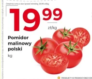 Pomidory Polski