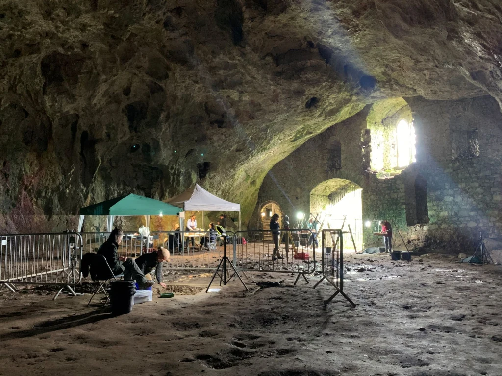 Jaskinia Wogan pod zamkiem w Pembroke ma potencjał, aby stać się miejscem o ogromnym znaczeniu dla brytyjskiej archeologii. Archeolodzy pracujący pod namiotami w Jaskini Wogan pod zamkiem Pembroke, przy świetle wpadającym przez okna.