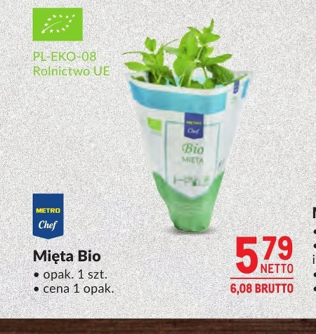 М'ята Metro Chef