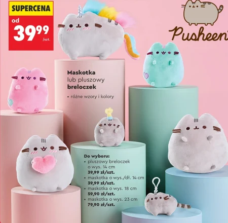 Талісман Pusheen