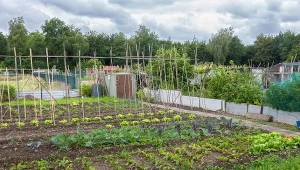 Działka rekreacyjna czy ROD? Różnice, o których mało kto wie