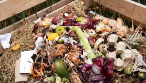 Syp do kompostu szklankami. Szybciej będzie gotowy i bezwonny
