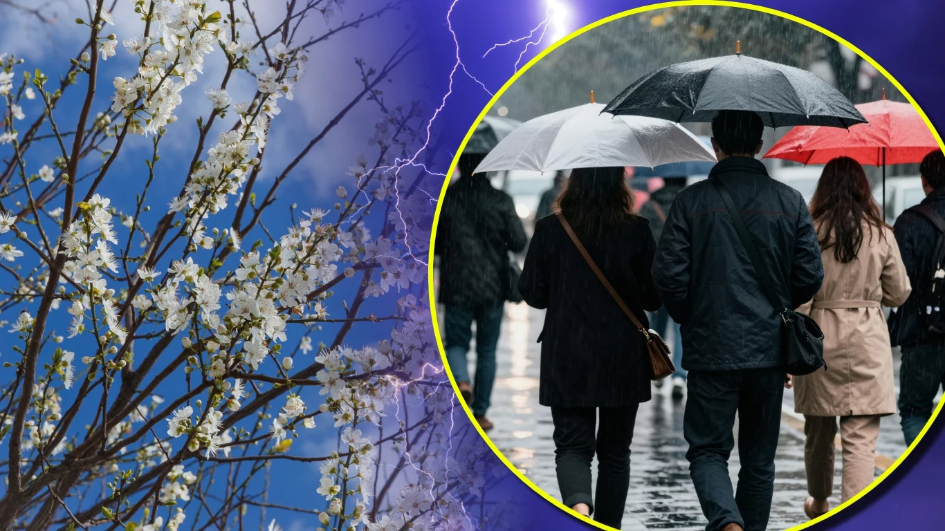 Ciepła sobota, a potem załamanie pogody. IMGW prognozuje (zdj. ilustracyjne) Rozkwitające gałęzie drzewa na tle nieba, obok grupa osób pod parasolami w deszczu, oddzielone błyskawicą.
