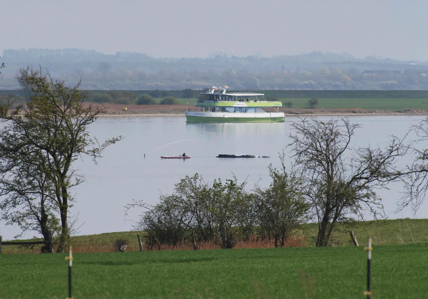 duży statek pasażerski na spokojnym jeziorze, w tle zielone pola i wzgórza, na pierwszym planie drzewa i trawa, na wodzie widać również małą łódź z wędkarzem