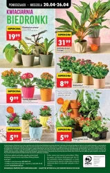 Tak tanio, że aż miło - Biedronka