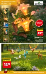 Rozpocznij z nami zielony sezon! - Biedronka