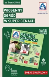 Wiosenne smaki w super cenach – Aldi