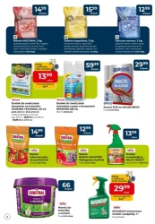 Wszystko w mistrzowskich cenach! - PSB Mrówka