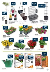 Wszystko w mistrzowskich cenach! - PSB Mrówka