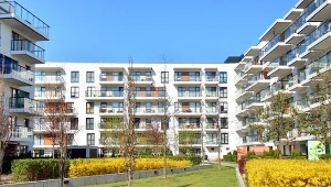 Te rośliny w ogródku przy bloku to ryzyko. Mało kto wie, że są zabronione