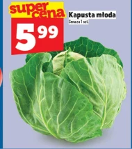 Молода капуста