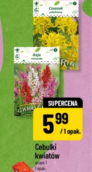 Цибулини квітів