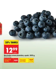 Borówka amerykańska