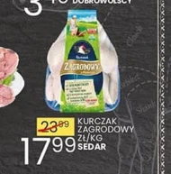 Kurczak Sedar