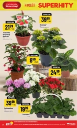 Świeżość i jakość w super cenie - Polomarket