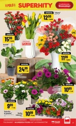 Świeżość i jakość w super cenie - Polomarket