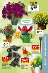 Okazje rozkwitają - Auchan Hipermarket