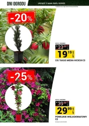 Dni ogrodu - Merkury Market