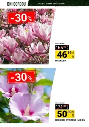 Dni ogrodu - Merkury Market