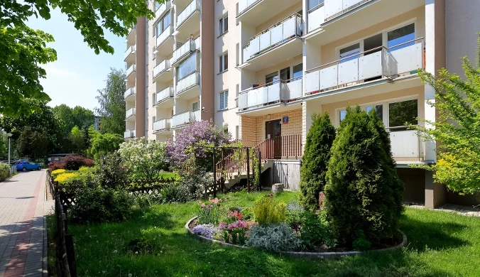 Tych roślin nie wolno sadzić w ogródku przed blokiem. Grożą surowe kary.