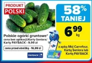 Ogórki Carrefour