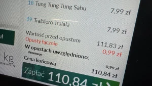 Tralalero Tralala w Biedronce za 7,99 zł - najdziwniejszy hit roku z TikToka