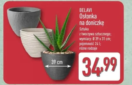 Обкладинка Belavi