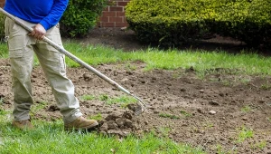 Gleba gliniasta może być bardzo wartościowa. Wystarczy wiedzieć jak ją rozluźnić. 