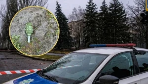 Nietrzeźwy Ukrainiec rzucił granatami w policjantów 