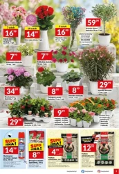 Włącz promocje! - Twój Market