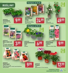 Katalog ogrodowy - Aldi