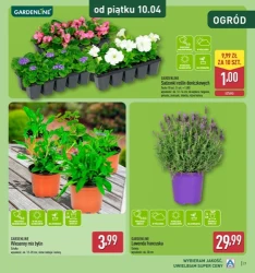 Katalog ogrodowy - Aldi
